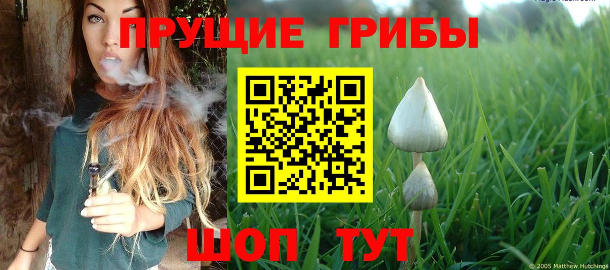 Волгодонск  купить наркоту  Вход с VPN  Галлюциногенные грибы MAGIC MUSHROOMS 