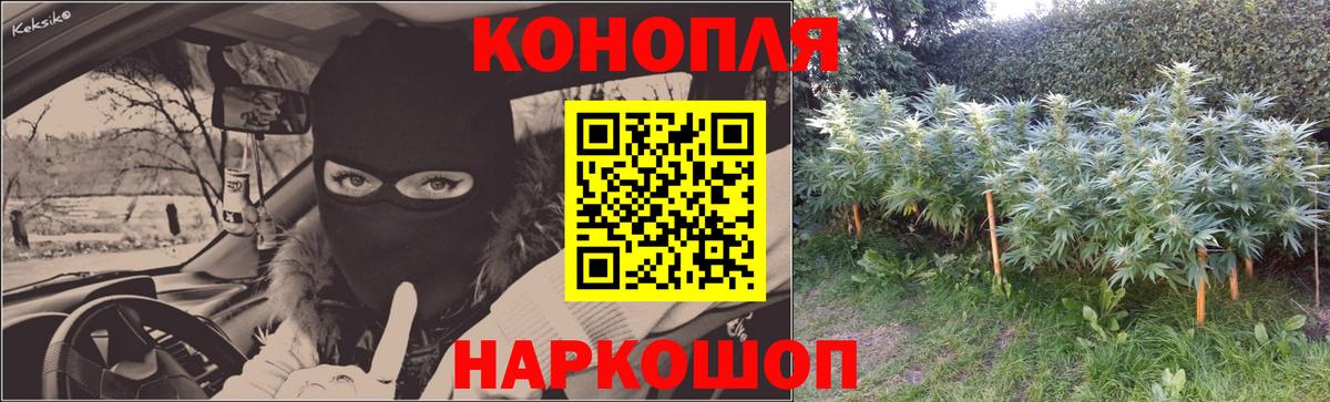 Шишки марихуана SATIVA & INDICA Волгодонск